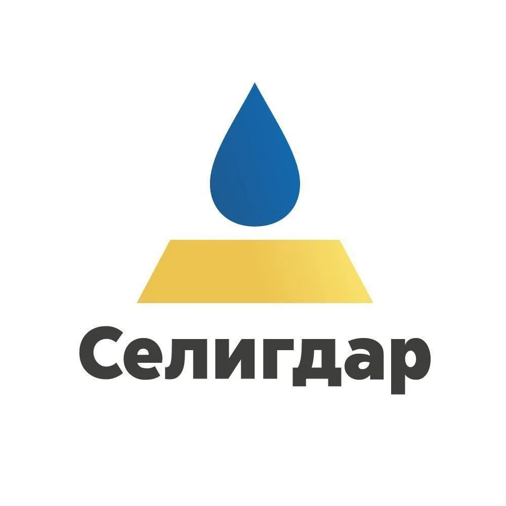 ⛏Селигдар – российская компания, которая занимается добычей руд и драгоценных металлов, входит в ТОП
