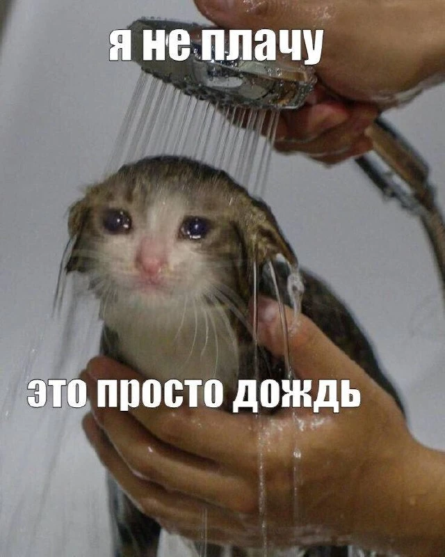 🌦Омичам пообещали дожди до конца июня.

Отвлечемся от рабочих дней, и посмотрим, какая погода нас ж