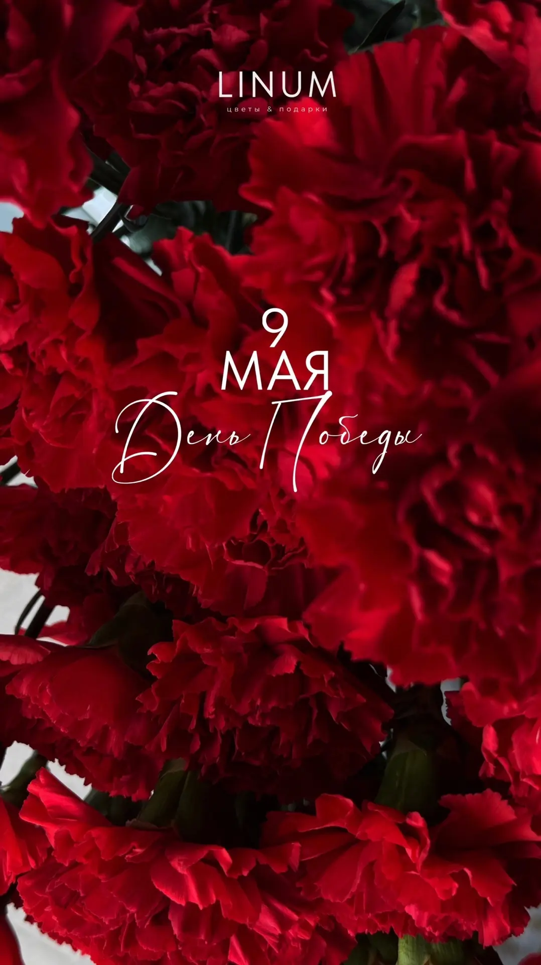 С Днём Победы 🤍

9 мая — особенный день.
День памяти, уважения и благодарности.

Пусть этот день бу