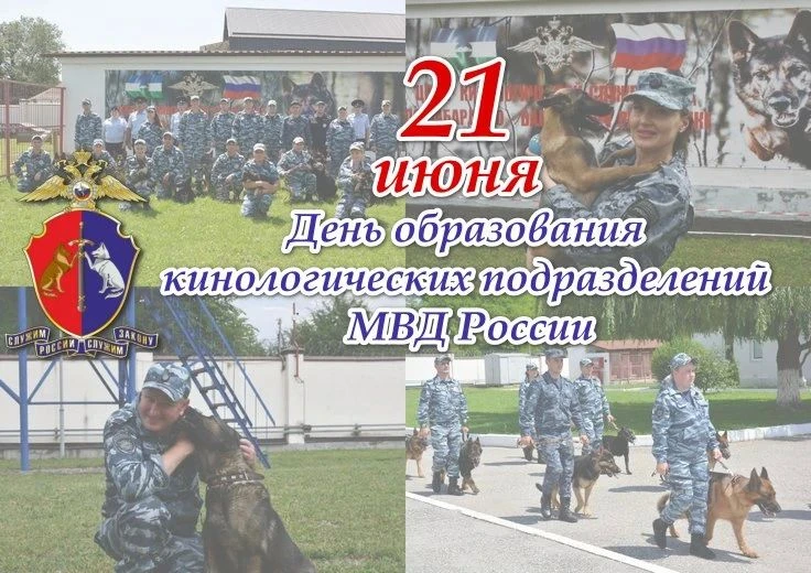 День кинолога в 2026 году отмечается 21 июня. Это профессиональный праздник специалистов, которые ра