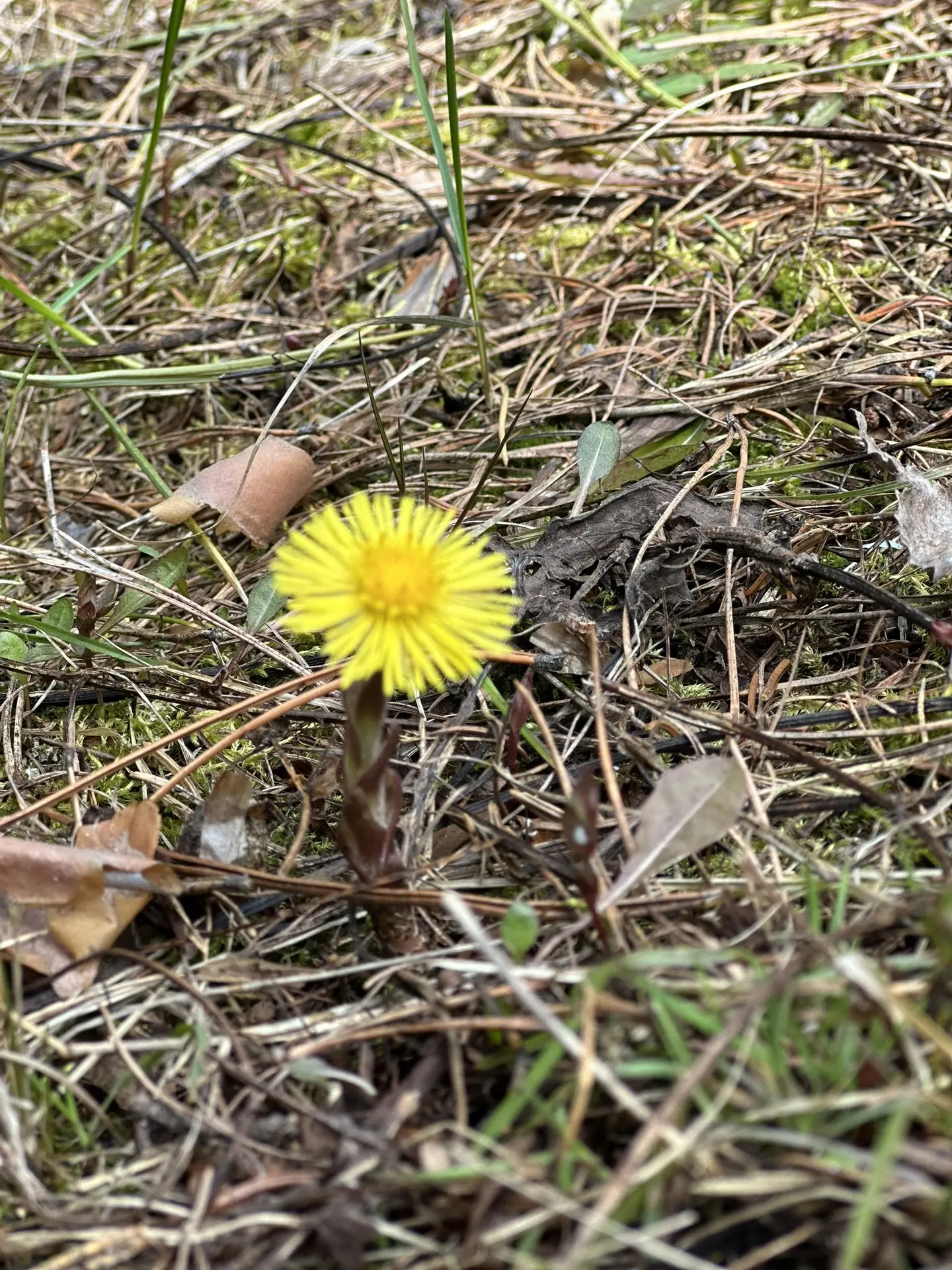 ☀️☀️☀️☀️☀️☀️☀️☀️☀️☀️