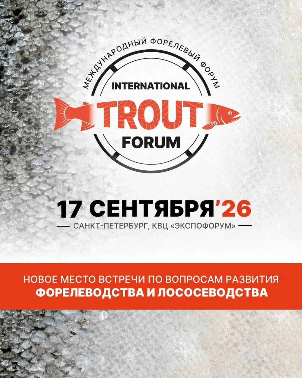 Новый уровень обсуждения вопросов аквакультуры на @seafoodexporussia 🐟

Рады сообщить, что в этом г