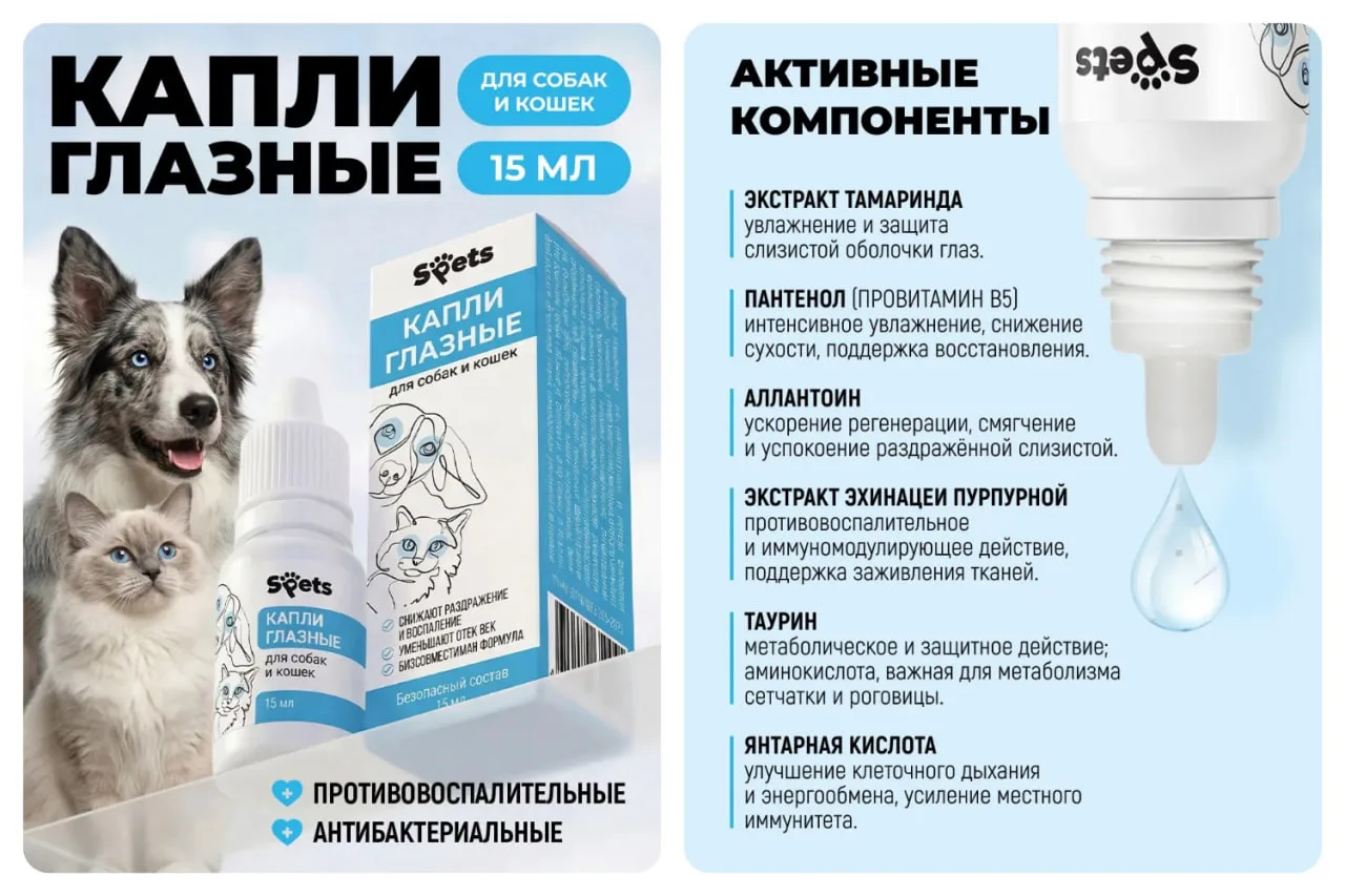 Капли глазные для собак и кошек, 15 мл
✅  Противовоспалительные
✅  Антибактериальные
🔥 КЭШБЭК 90% �