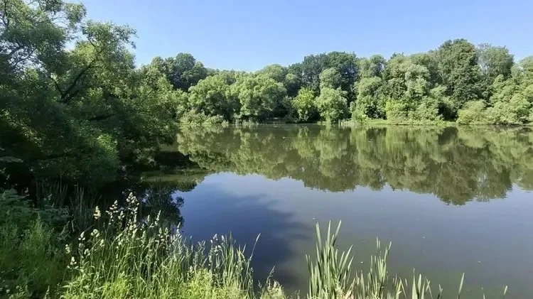 🌿 В Подмосковье стартовали работы по расчистке водоёмов.

В городском округе Щёлково по программе «