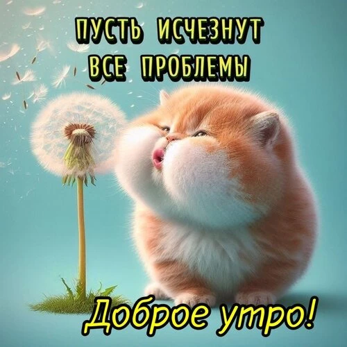 Открытки доброе утро