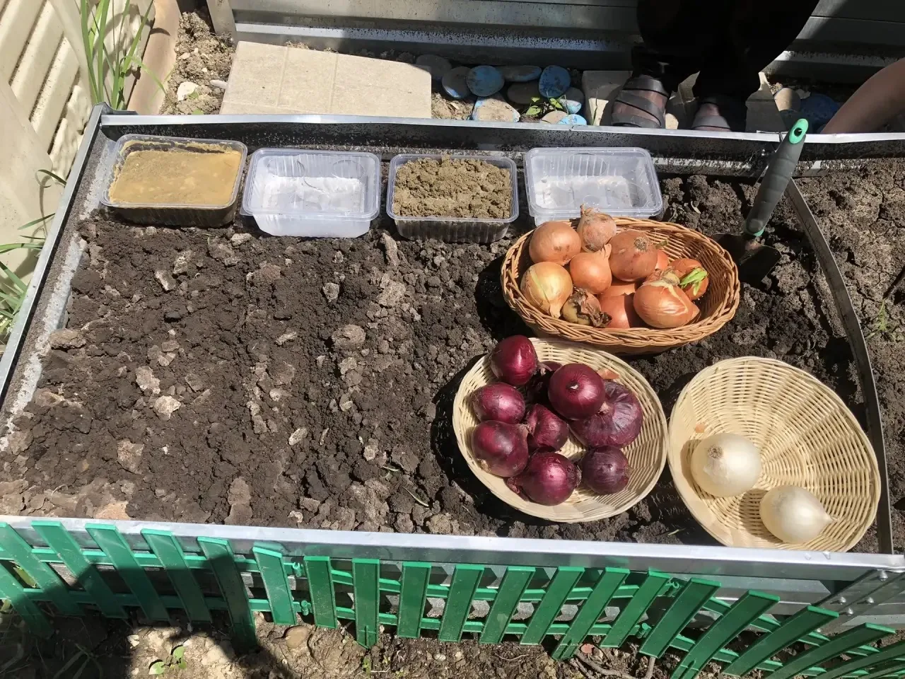 🌱 Сегодня во 2 младшей группе «Б» официально запустили новый проект по агрономии! 
В чём суть? 🧐
М