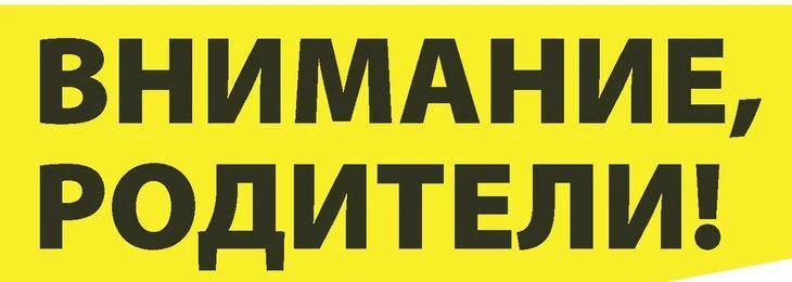 Обращение Государственной инспекции безопасности дорожного движения УМВД России по Курской области
У