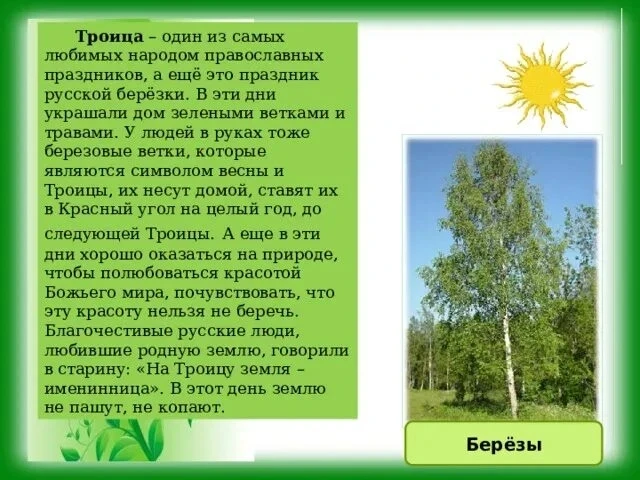 Троица. Праздник русской берёзы.
Сегодня воспитатель Драгун Юлия Борисовна познакомила ребят с право