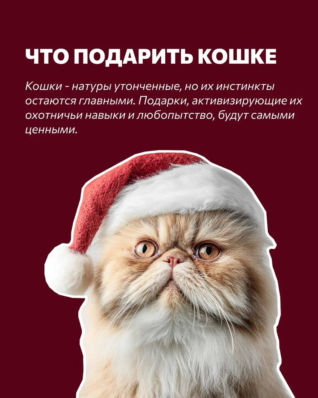 Мы тут приготовили для вас несколько идей🤘

🐾ДОМАШНИЙ ПИТОМЕЦ🐾

☎️+7 (846) 248-00-33
WhatsApp/Tel