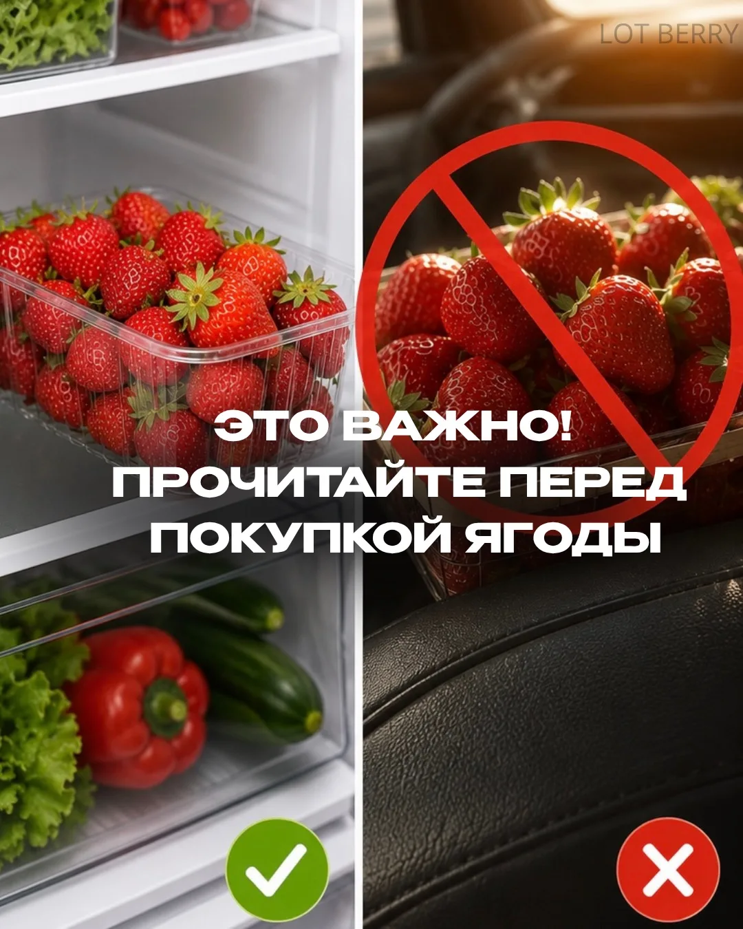 Уважаемые покупатели!

Свежая ягода — скоропортящийся продукт, качество которого напрямую зависит от