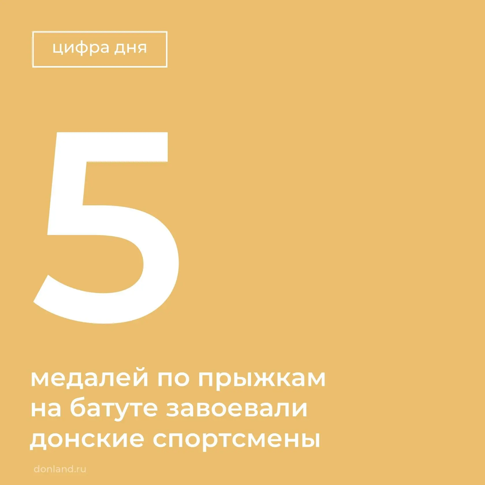 Донские спортсмены показали отличные результаты на Международном турнире по прыжкам на батуте «Кубок