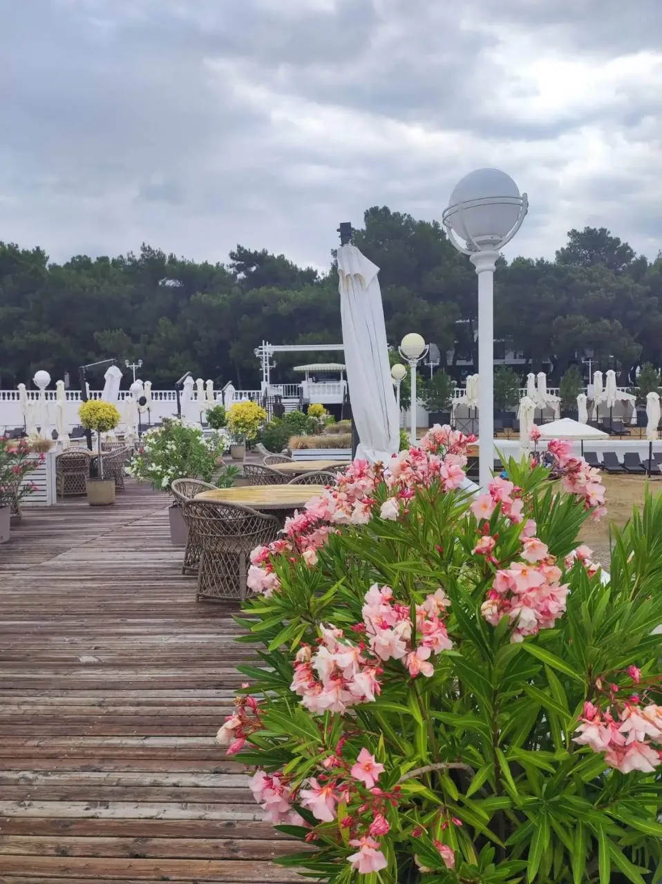 Доброе утро 💐
