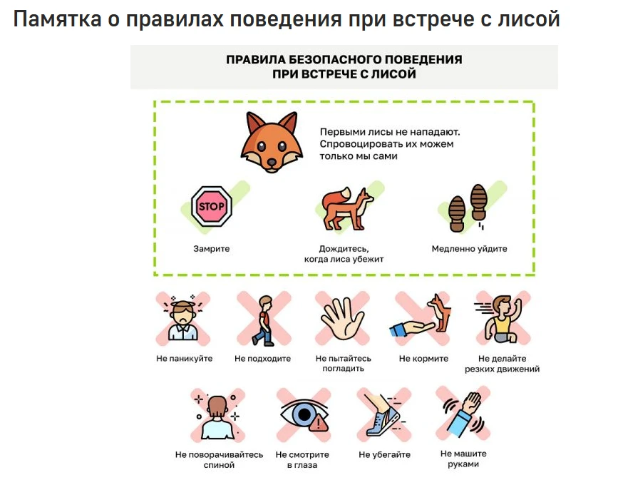 ПАМЯТКА:
ЧТО ДЕЛАТЬ ПРИ ВСТРЕЧЕ С ЛИСИЦАМИ
В НАСЕЛЕННОМ ПУНКТЕ?
 
1. При встрече с лисой, не следует