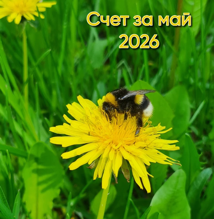 СЧЕТ ЗА МАЙ 2026 УЖЕ ДОСТУПЕН К ОПЛАТЕ!

Напоминаем, что произвести оплату электроэнергии за май 202
