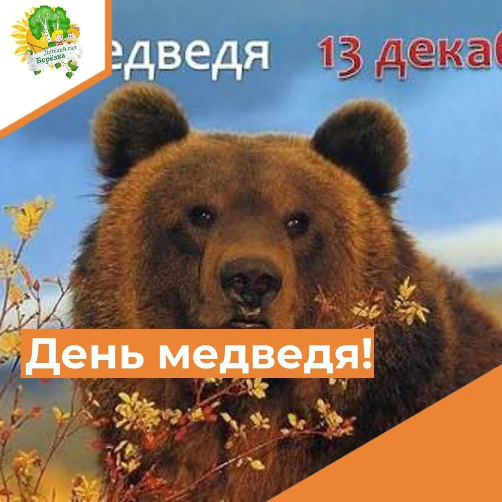 День медведя в России ежегодно отмечается 13 декабря. Праздник посвящён этому животному, которое изд