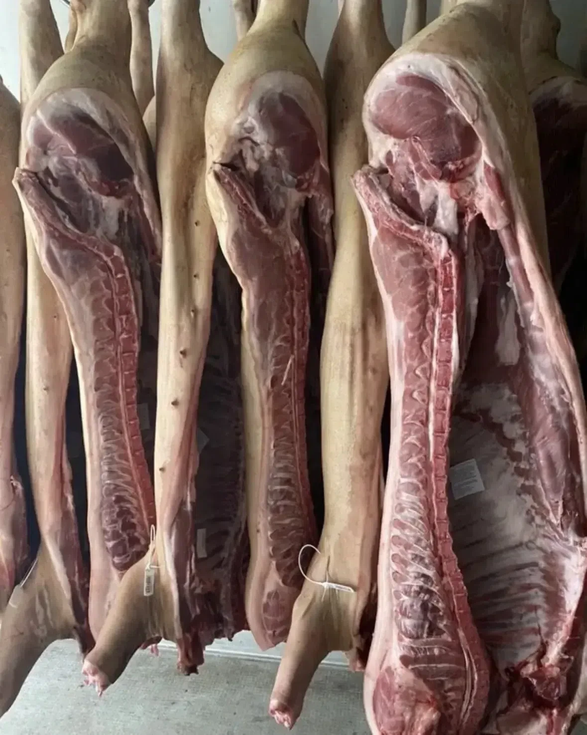 🥩 В продаже свинина полутушами 🥩

➖Можно купить любое количество (от одной полутуши)
➖Цена актуаль