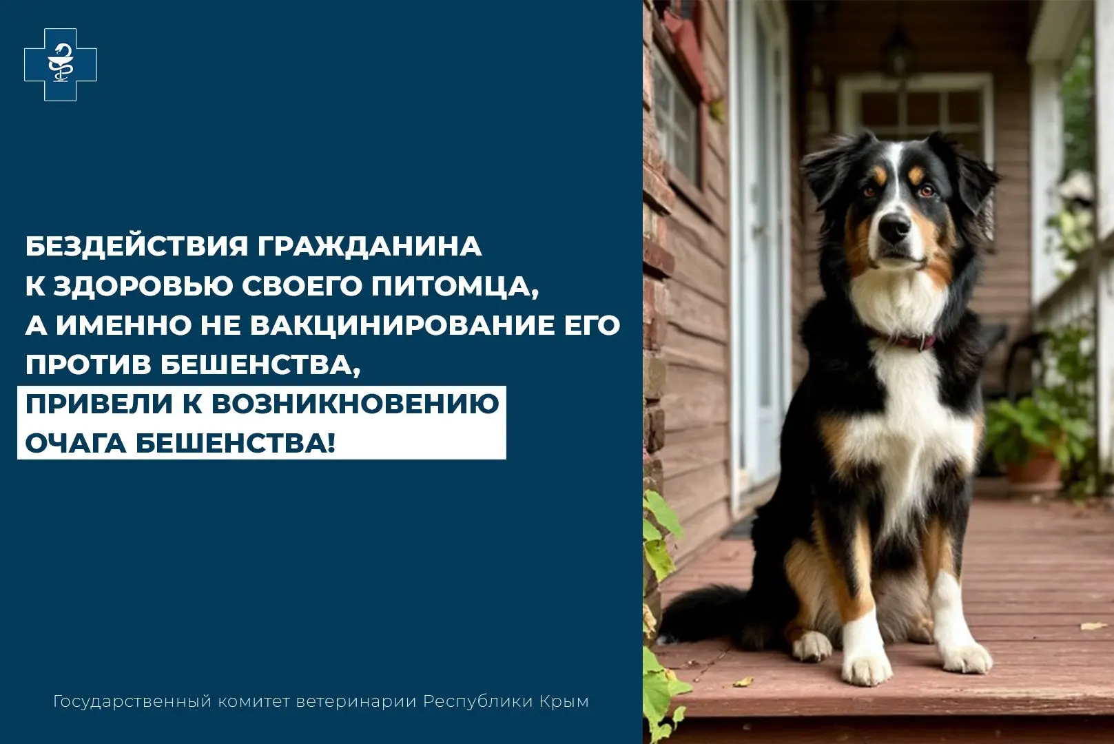 ❗️В связи с выявлением бешенства собаки на ограниченной территории – месте нахождения собаки, точка 