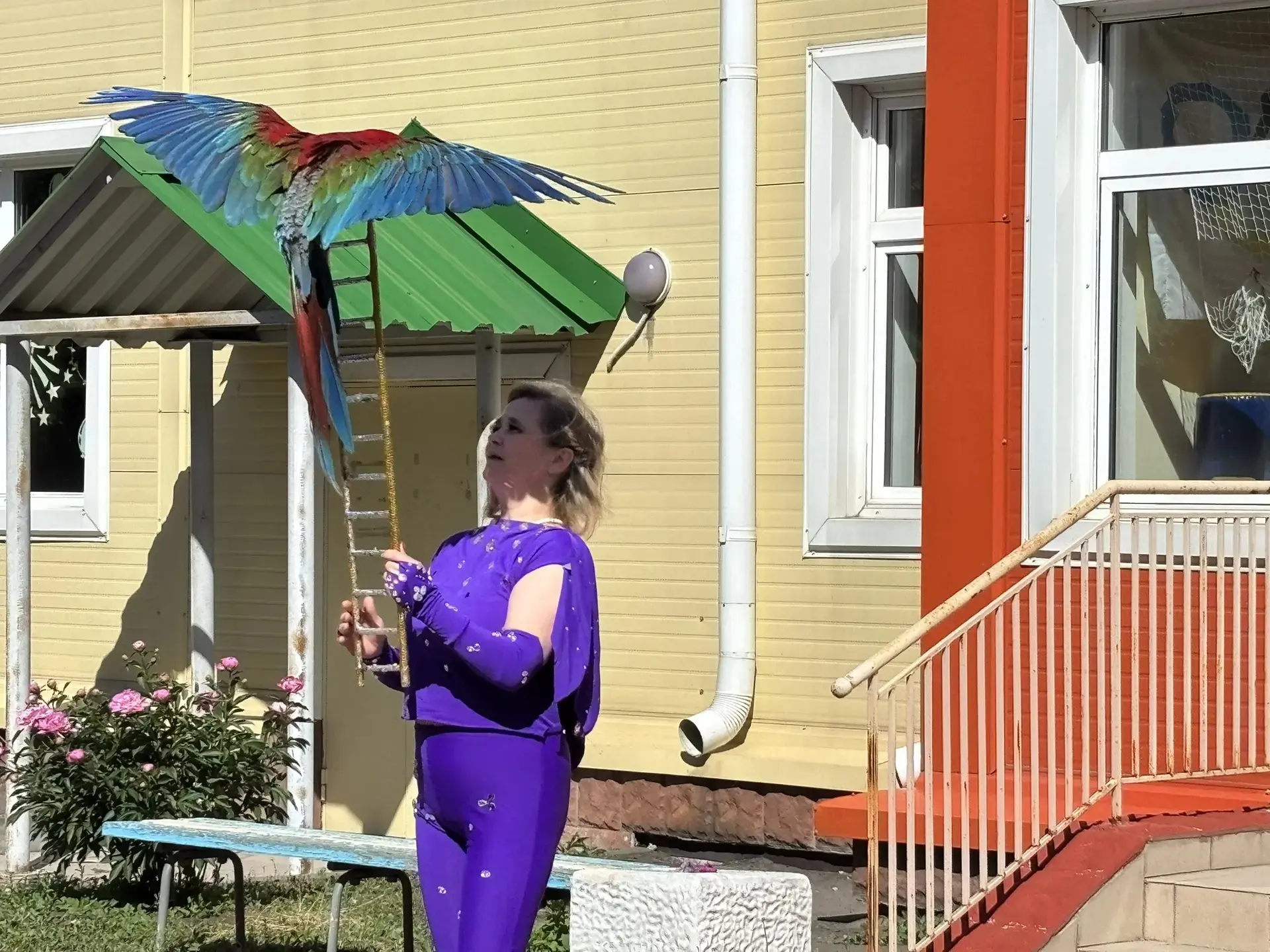 В наш детский сад приехал цирк! 🎪 Маленькие зрители смеются и хлопают в ладоши, восхищаясь яркими к