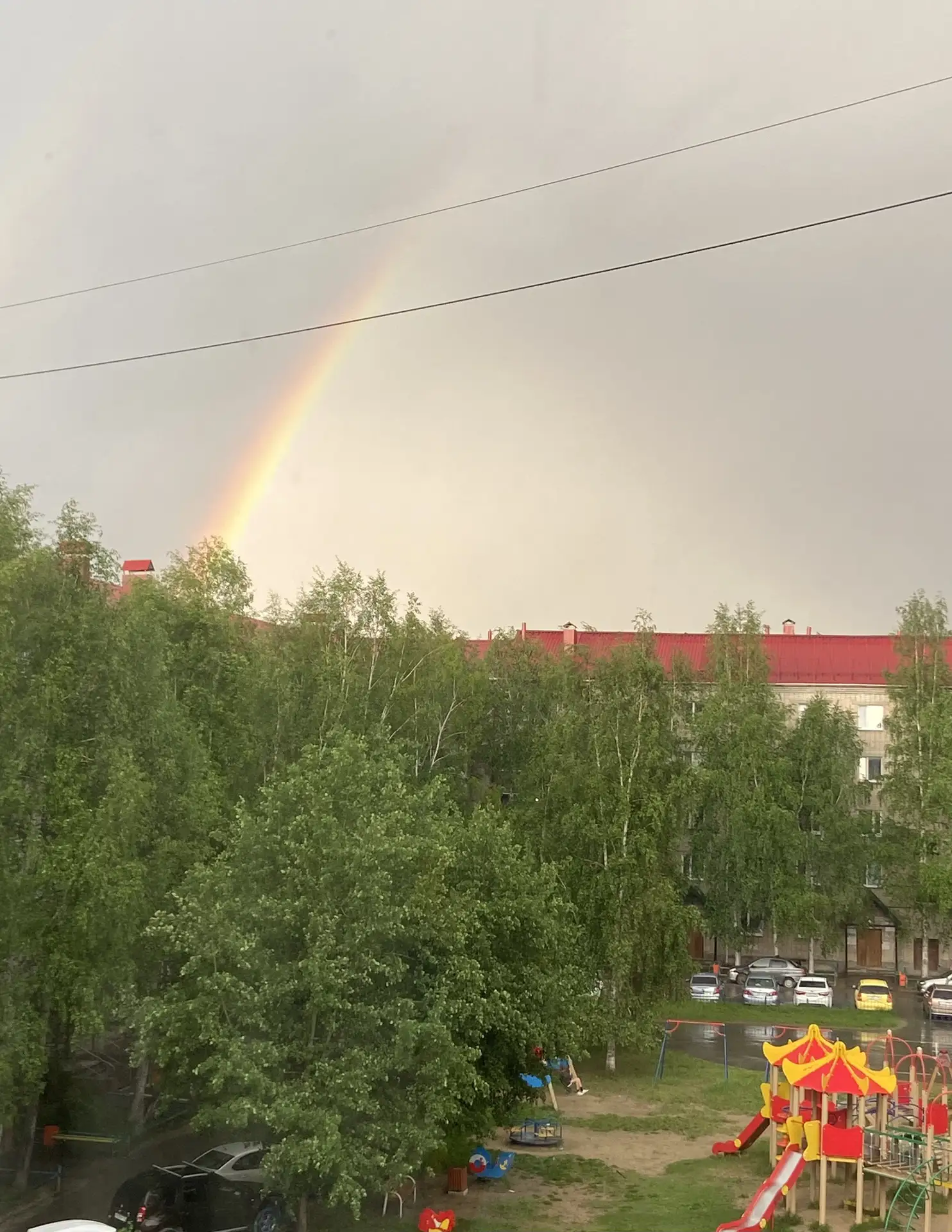 О ТОМ, ЧТО ТАКОЕ МИР: СМОТРИМ НА ПРИРОДУ и ДЕТЕЙ..