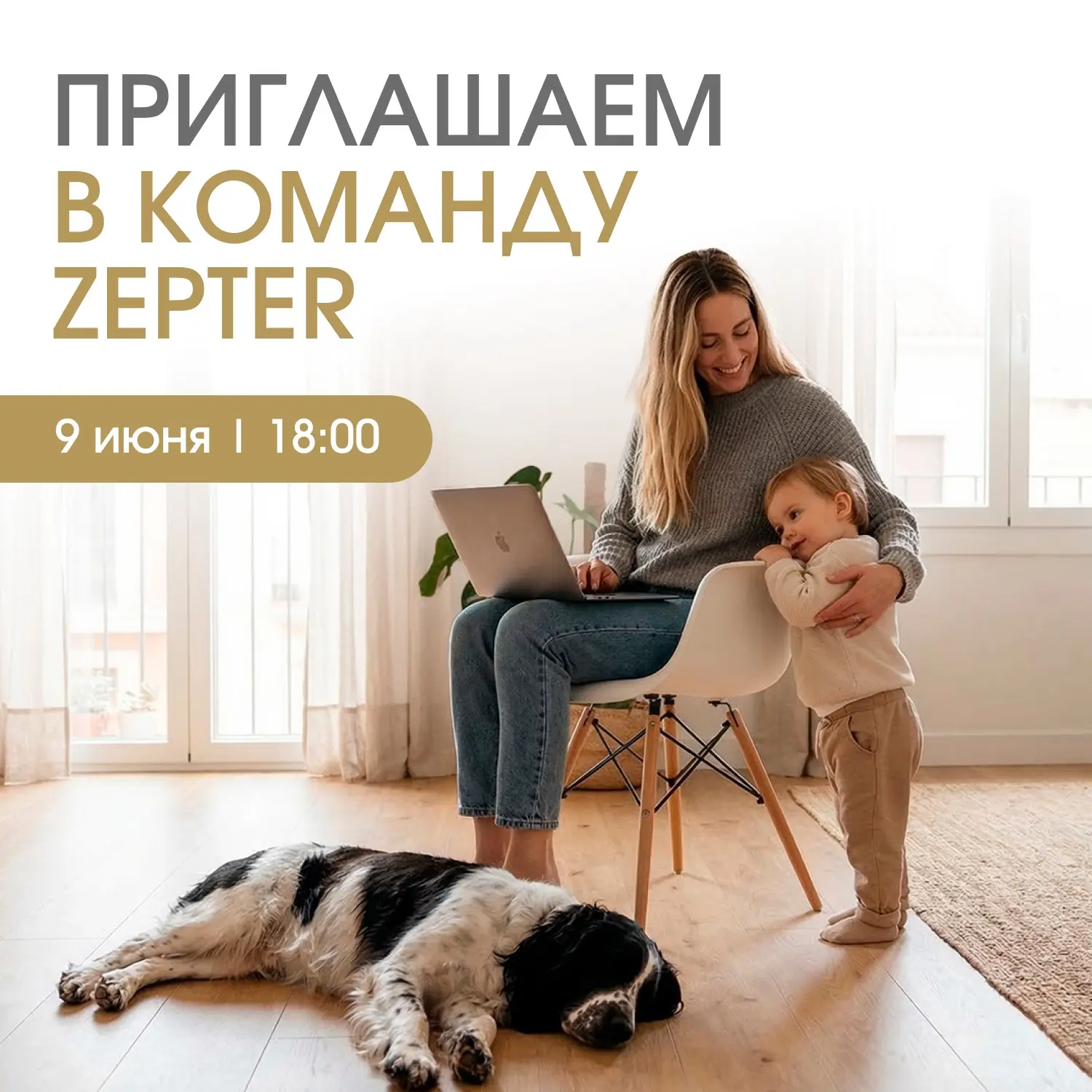 Многие хотят иметь дело, которое можно совмещать с семьёй, детьми и привычным ритмом жизни.

Zepter 