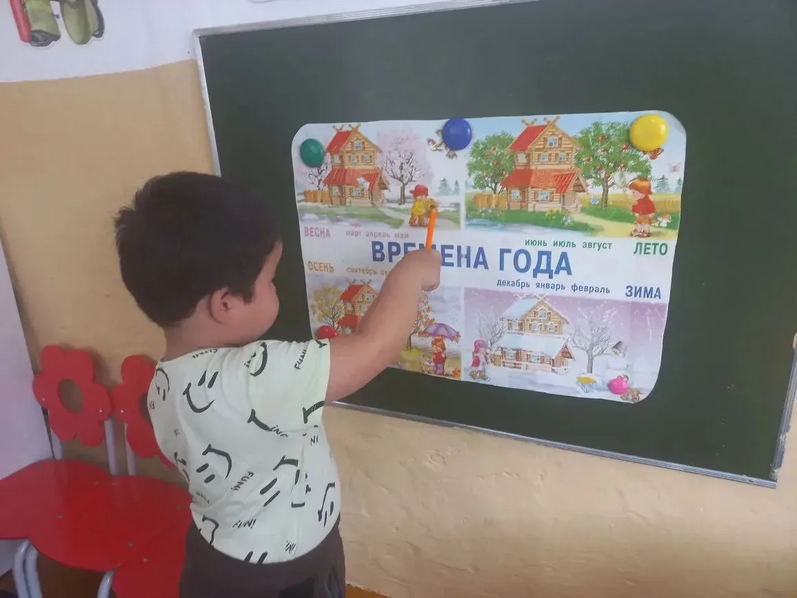Ознакомление с природой. Средняя группа. Тема: Диагностические задания (индивидуально и парами).Цель