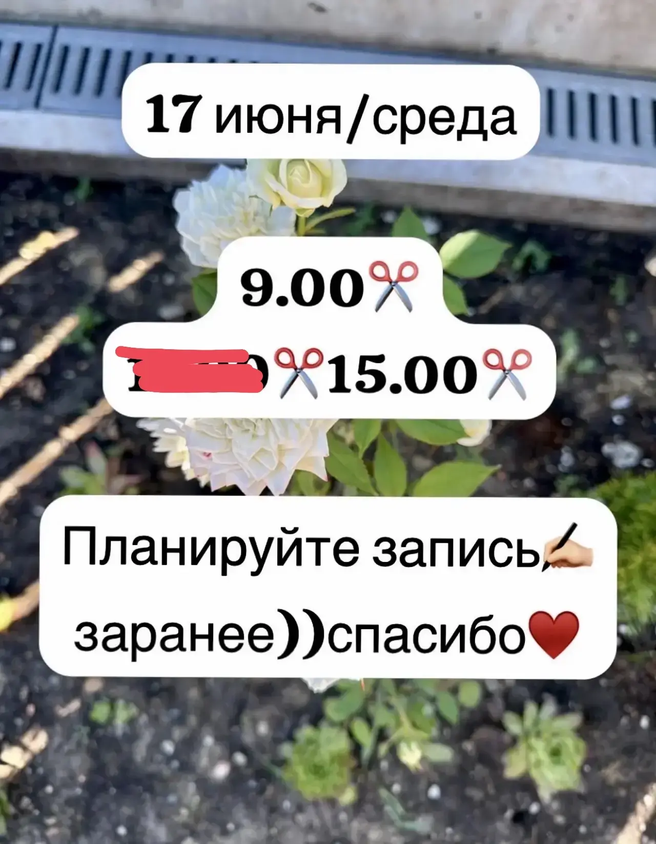 Запись/консультация
☎️8937-7223-777

#сложноеокрашивание #колорист #парикмахер