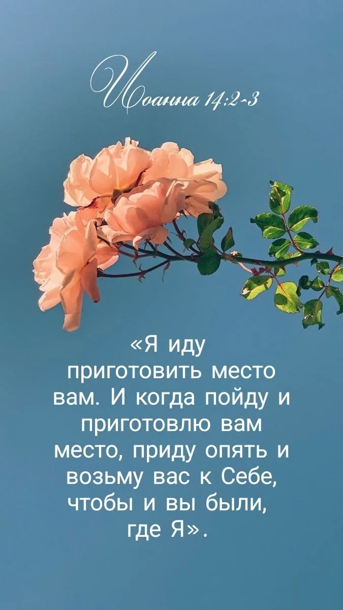 👉 Наши каналы. Подписаться.