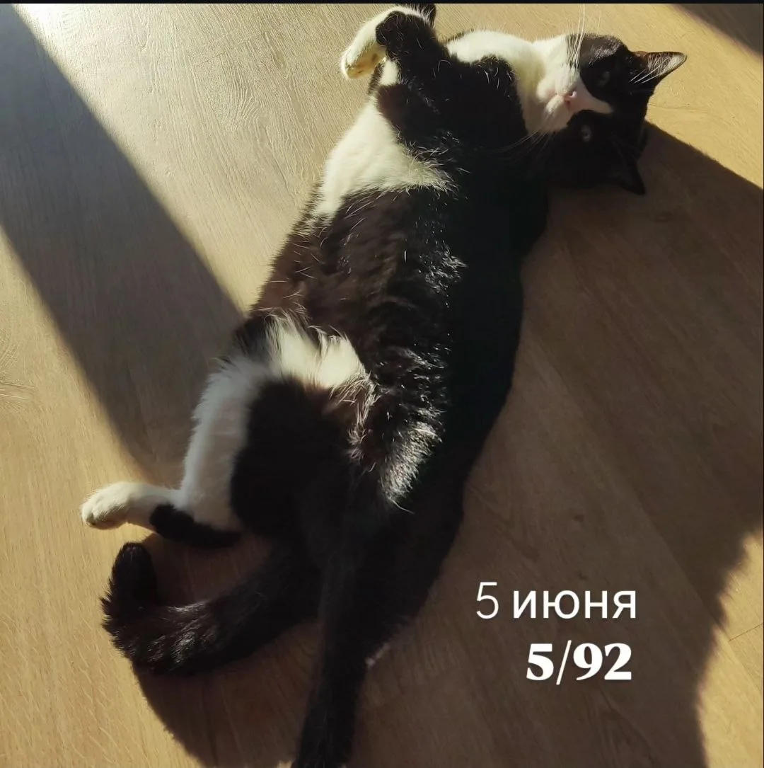 5/92
Если разрешаешь, то получается

Сегодня на встрече мастер-группы «Дивергент» Мари Идрисовой был