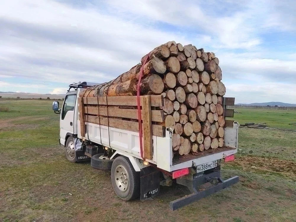 Продам
Сосна сухая с полусухой
6 рядов
Загрузка на  1ом фото
Цена 25000
Сосна полусырая 
Загрузка на