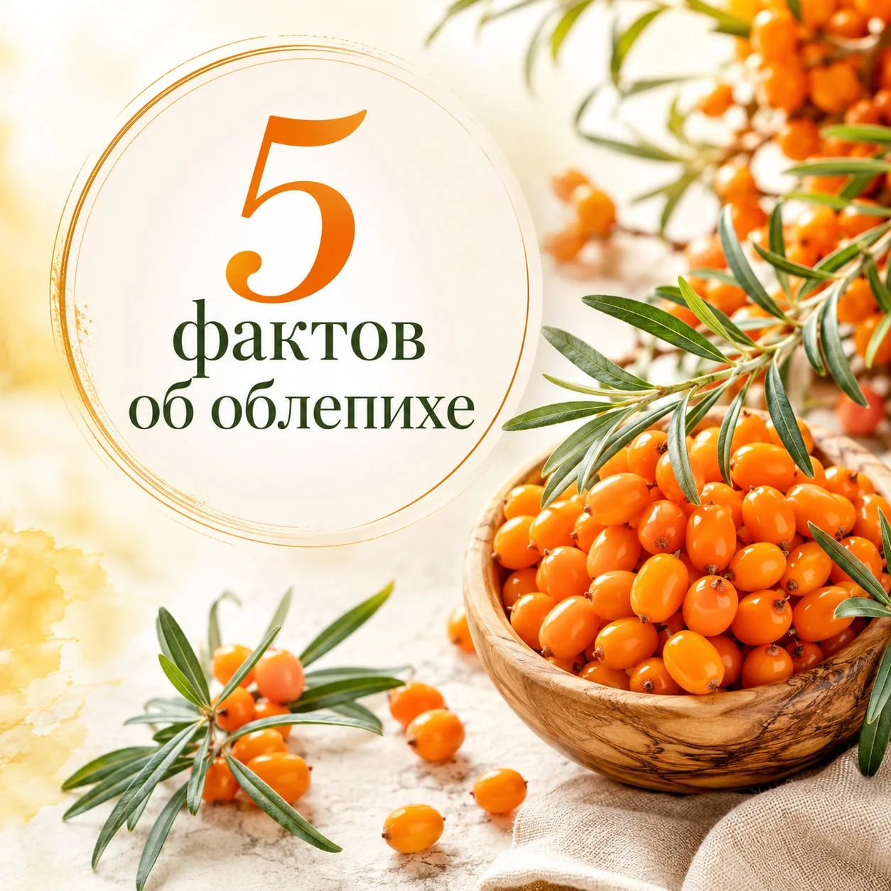 5 фактов об облепихе
🍀Облепиха известна с древних времён. Её использовали в тибетской, китайской и 