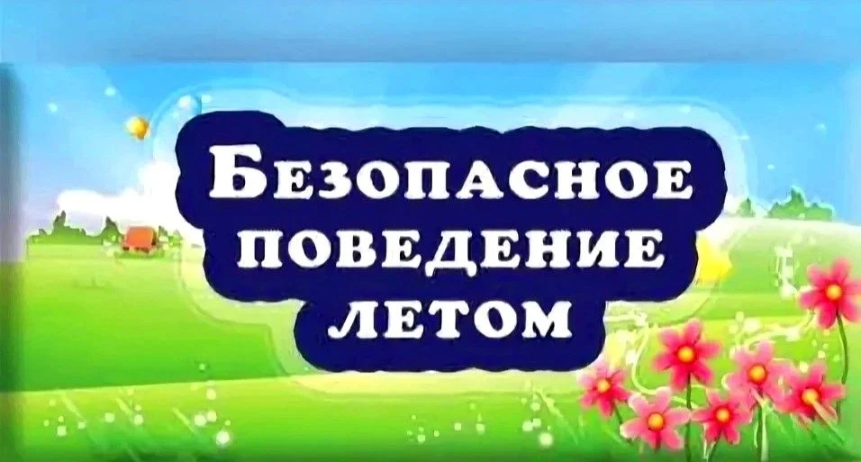 📌В📚 библиотеке-филиале №1 прошёл познавательный ⏳час «"Будь ⚠️осторожен: лето полно неожиданностей