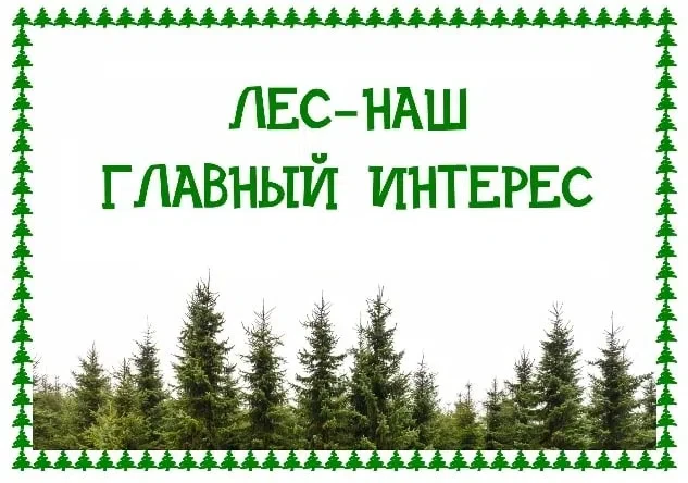 Поздравляем победителей регионального этапа конкурса детских рисунков «Лес – наш главный интерес!» -