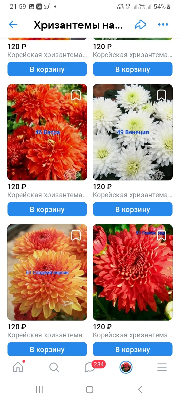 Друзья! Мы обновили каталог по корейским хризантемам, которых не надо выкапывать ‼️ более 30 бомбиче
