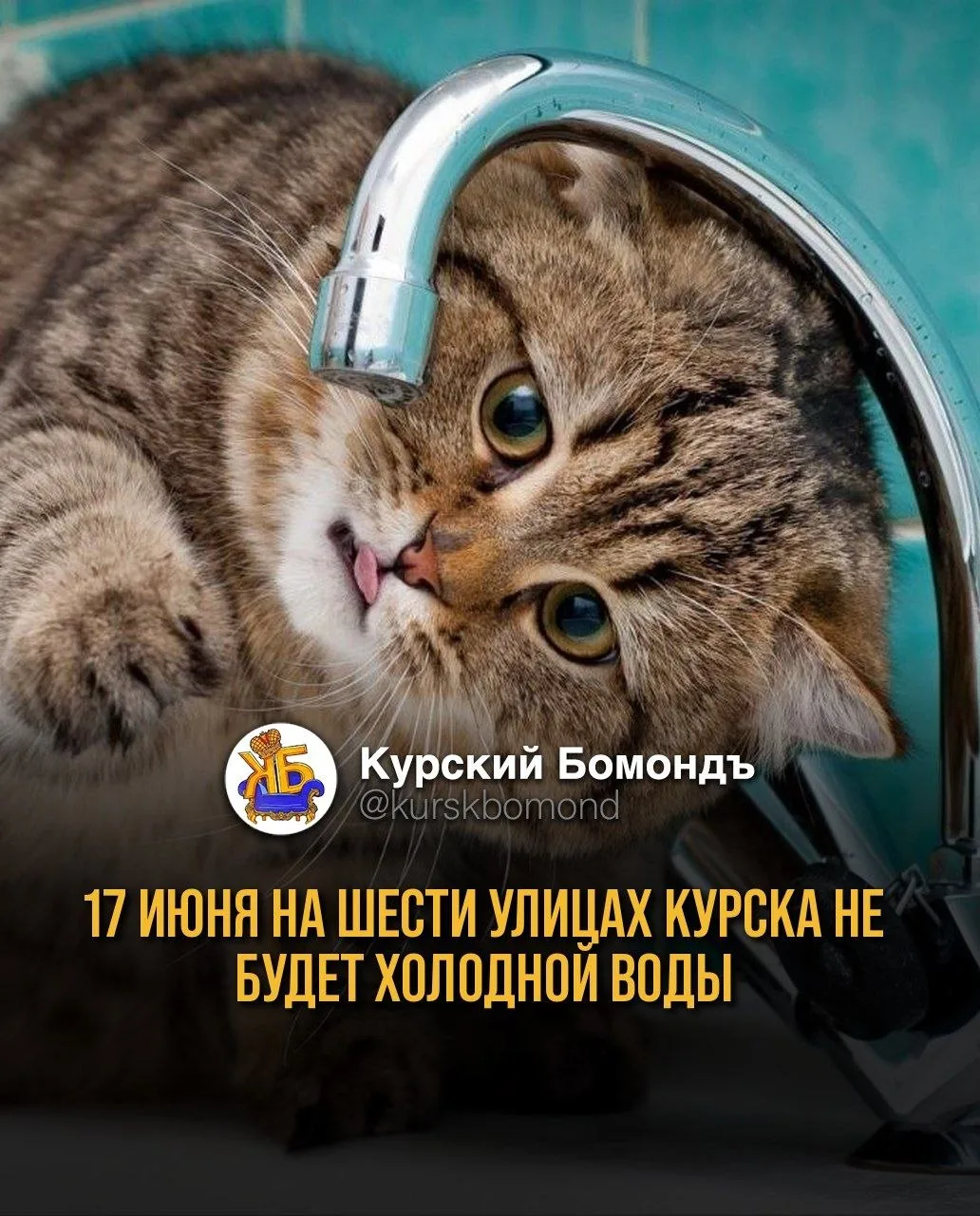 17 июня на шести улицах Курска не будет холодной воды.

Курскводоканал проведет неотложные ремонтно-