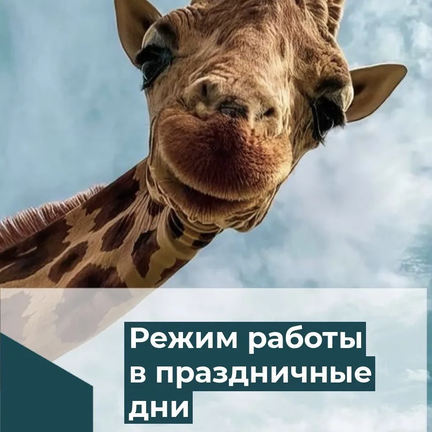 🏥 Режим работы поликлиники в праздничные дни

Уважаемые пациенты! Информируем вас о графике работы 