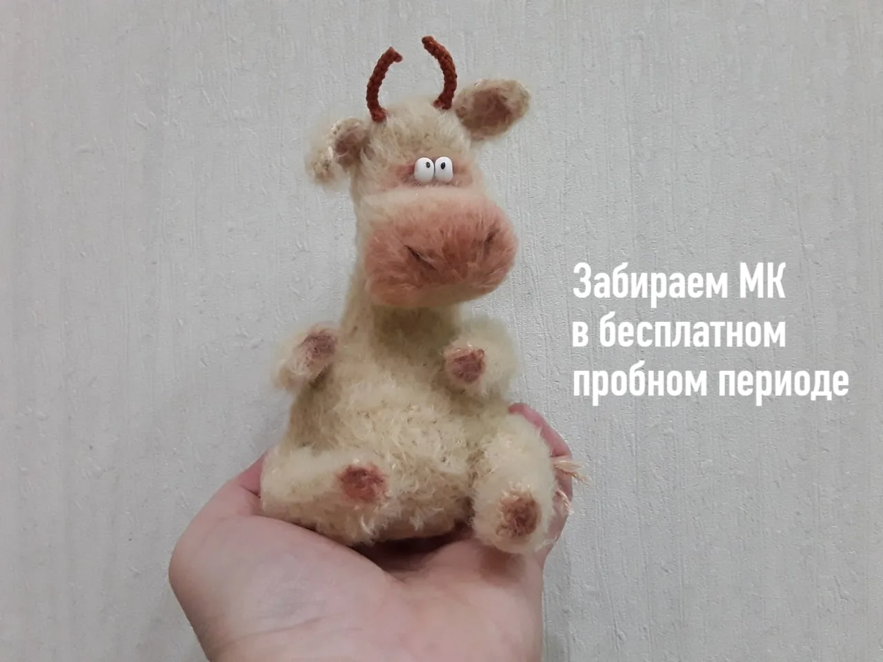 Девчата, сегодня можно забрать Борюсика в пробном периоде ) - https://vk.com/igrushki.lviaha?w=donut