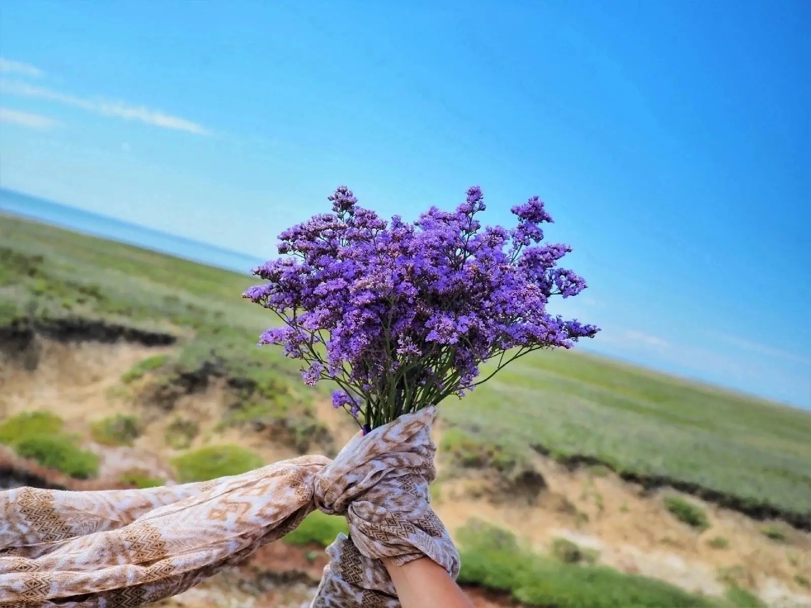 ☀️Яркое солнце и тёплая вода! Что ещё нужно для полноценного отдыха? Конечно же, интересные истории 