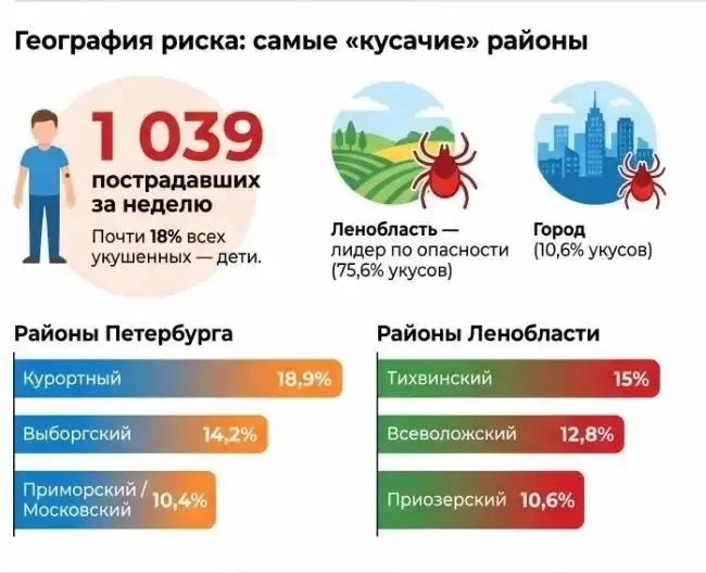 ❗️Клещи покусали более тысячи человек за неделю в Петербурге 

Самые опасные районы города — Курортн