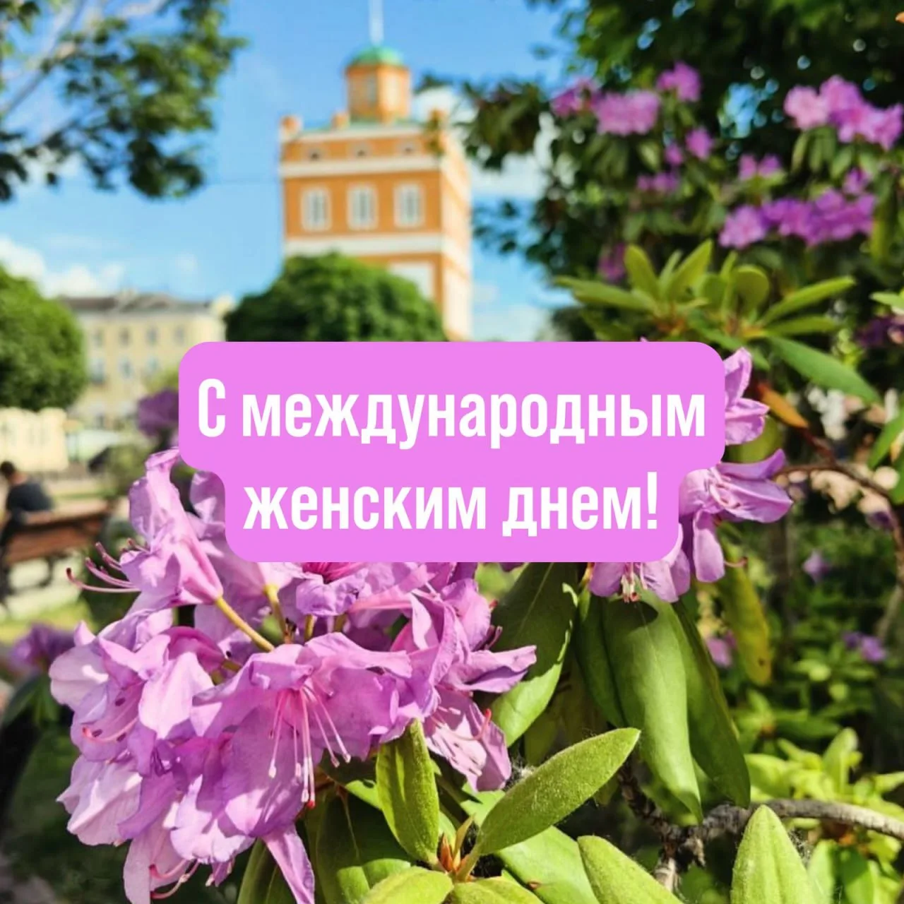 Дорогие муромлянки!

От всей души поздравляю вас с Международным женским днём!

Ваша энергия, мудрос