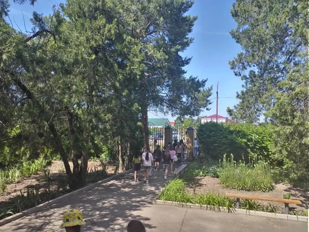 📆 День профессий в нашем лагере: мир труда глазами детей!

☀️ В лагере прошёл увлекательный День пр
