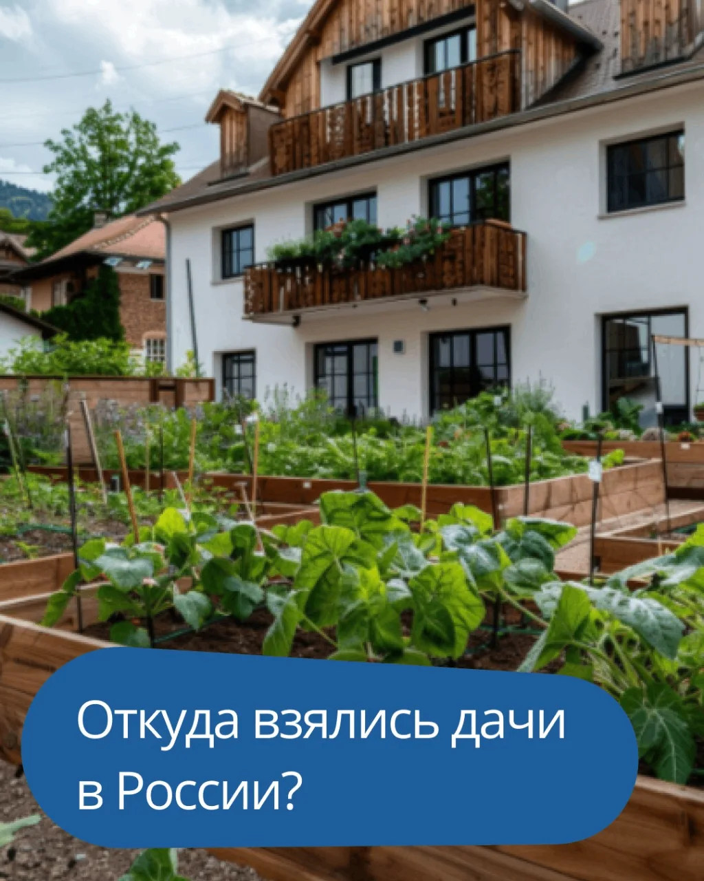 🌿 Откуда взялись дачи в России?

Сегодня дача для многих — это место отдыха, шашлыков, бани и тихих