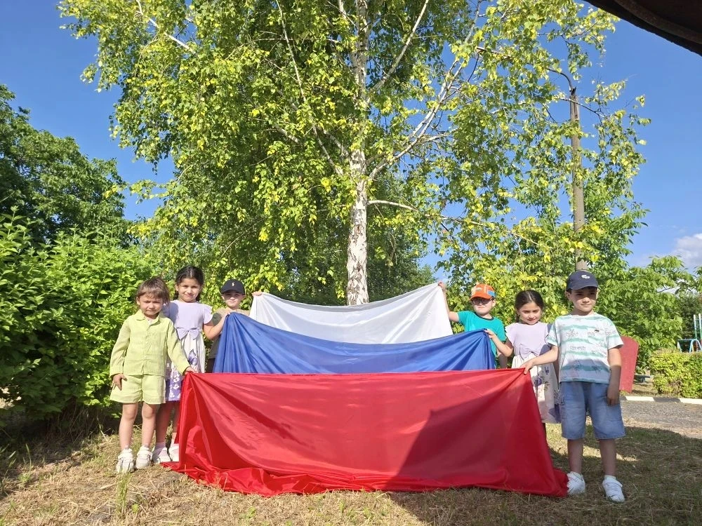 ✨🇷🇺 Ко Дню России в СПДО 1  прошёл  тематический день, посвященный этому событию. Целью этого меро