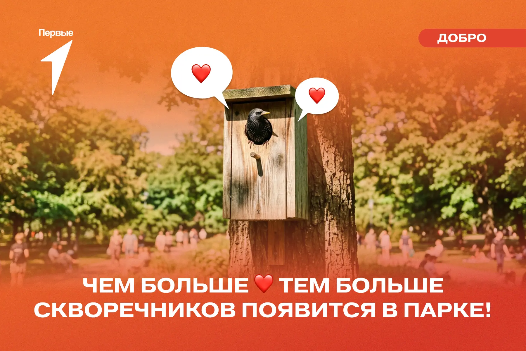 🐦‍⬛ Давай украсим этот виртуальный парк скворечниками!

Такой домик особенно необходим птицам, живу