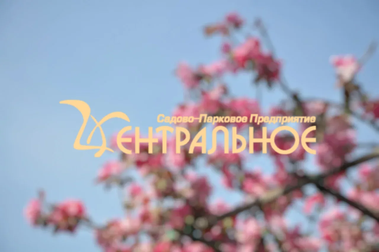 🌿АО "СПП «Центральное» приглашает на работу юных петербуржцев

Уважаемые родители, энтузиасты и вов