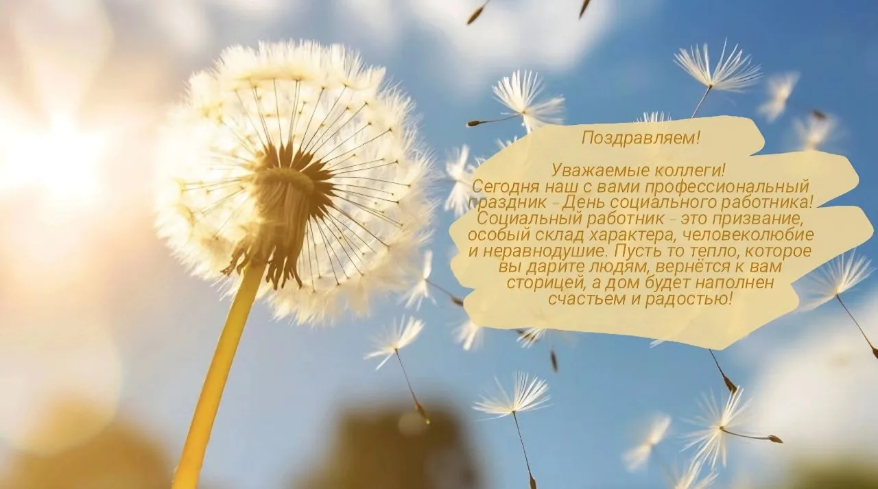 С Днём социального работника!

#забота40