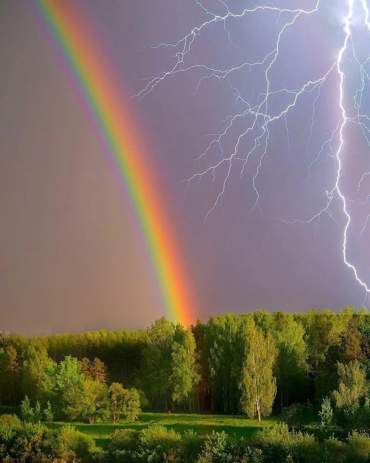 Әгәр яшен вакытында...

❗❗Урманда калсагыз...

⚡ Яшенле яңгыр башланса, ачык яланга чыгарга тырышыгы