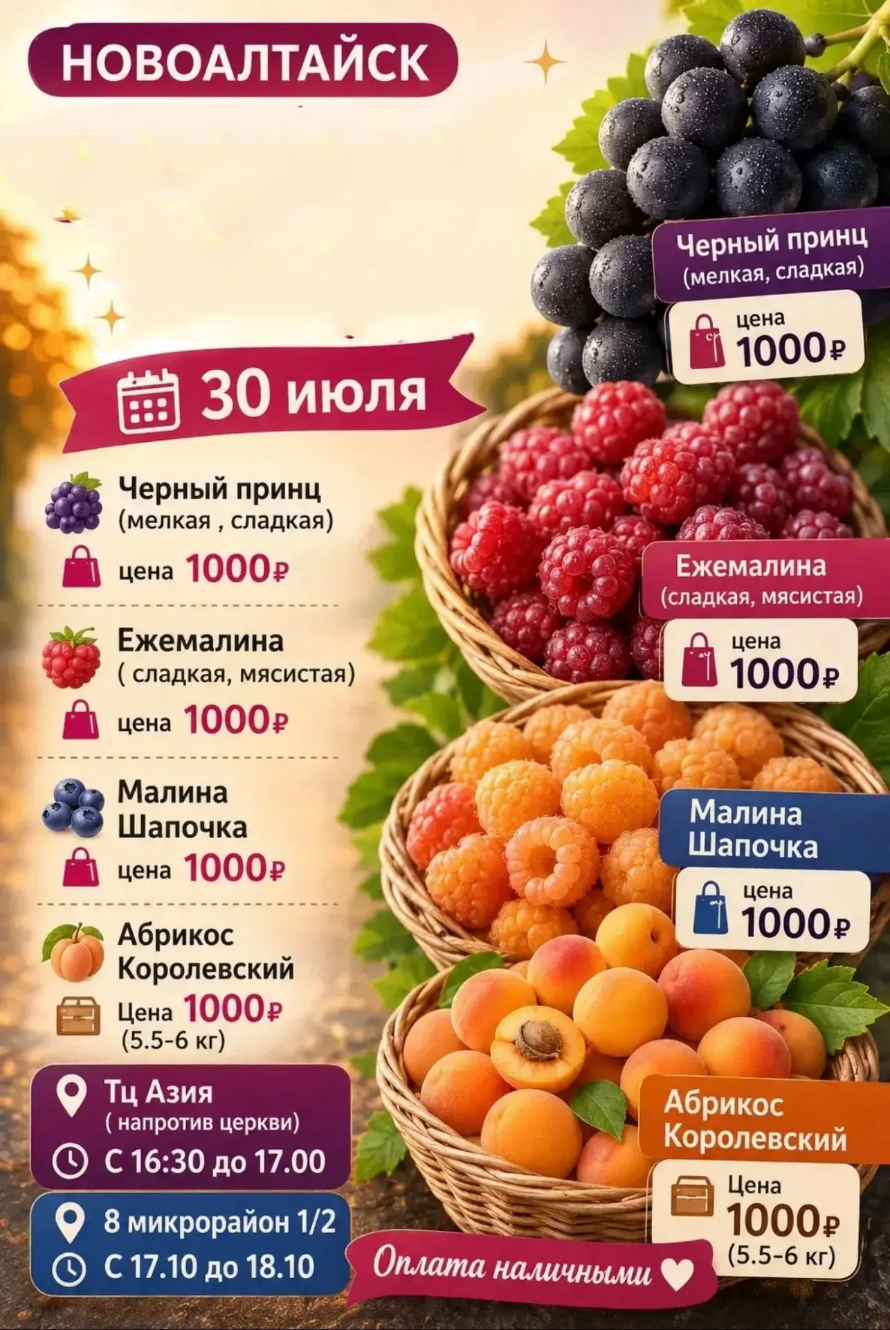 Доброе утро♥️

Уже сегодня, 30 июля 📆

🪻 Черный принц (мелкая , сладкая) 
🛍️ цена 1000₽

🍇Ежемал