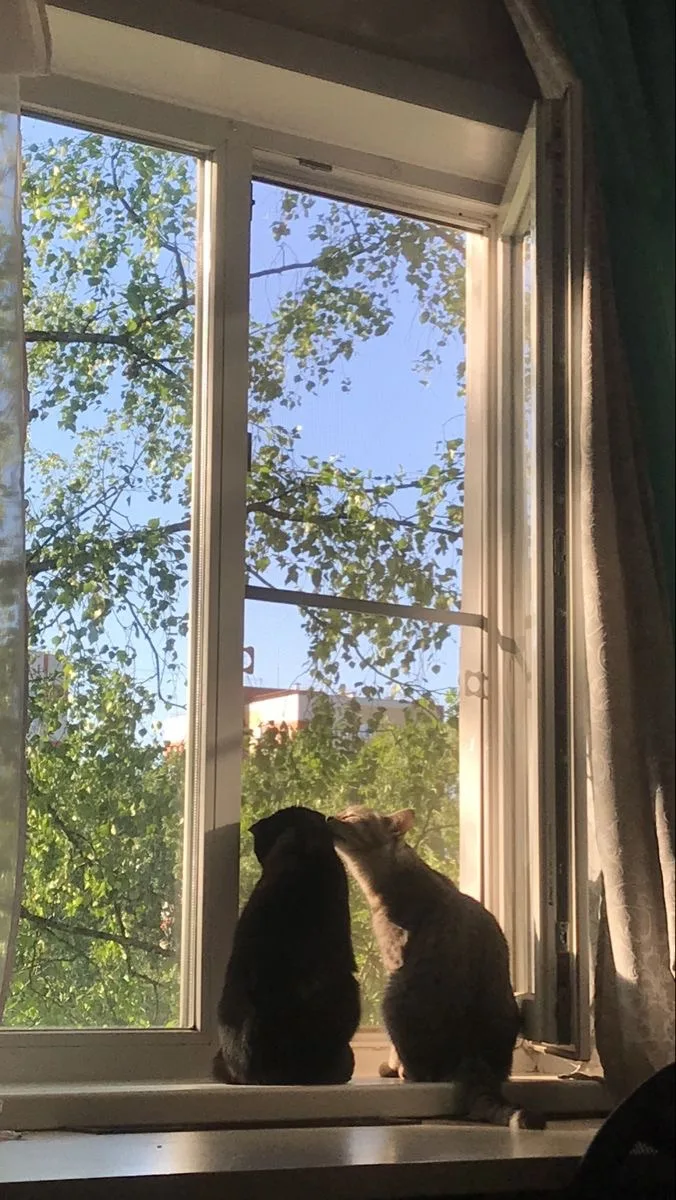 Доброе утро!

28 июня, воскресенье 

Утром +16°C  ☀️ 
Днем +23°C 🌥️ 
Вечером +21° 🌥️ 
Ночью +16°C 