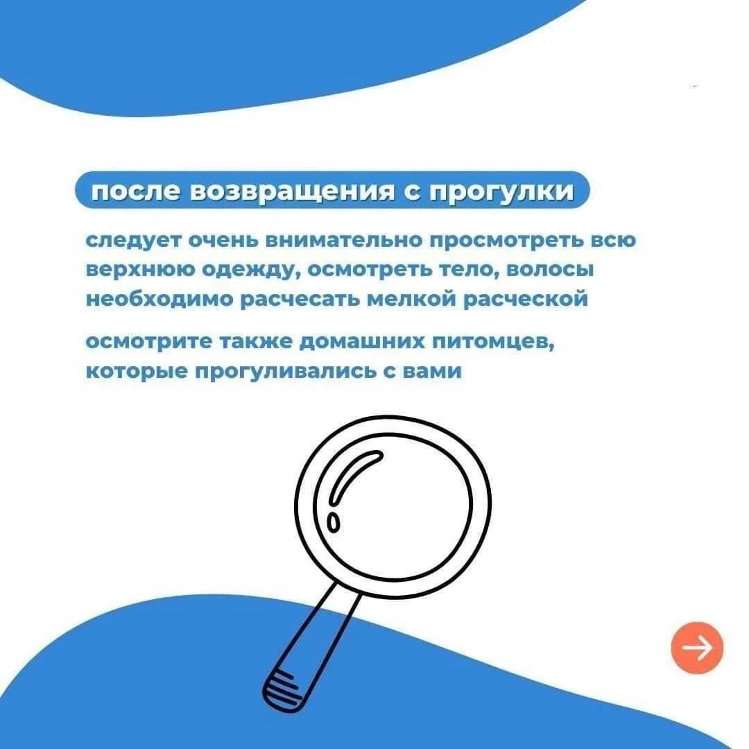 Клещи — невидимая опасность
Летом, когда природа в самом расцвете, многие устремляются в леса, парки