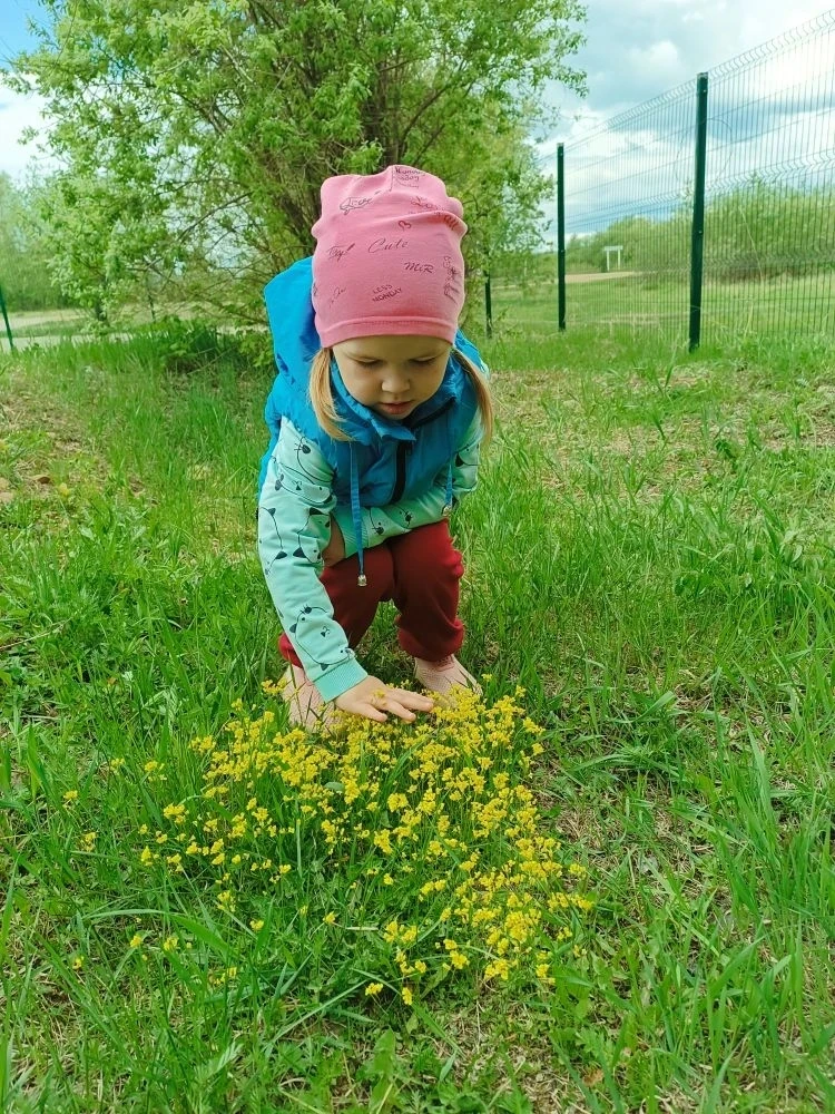 Вот и наступило долгожданное лето! Мы радуемся тёплым солнечным денькам, и, кажется, природа на наше
